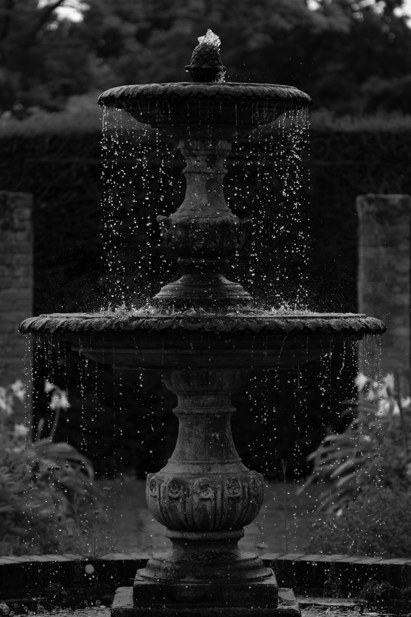 Photo: 53883205427_5010daa14d_o.jpg