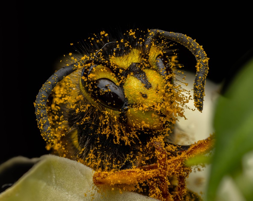 Photo: 54447670853_e073810781_o.jpg