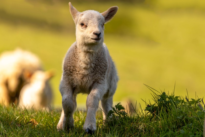 Photo: 54447800960_1b9a1c169c_o.jpg