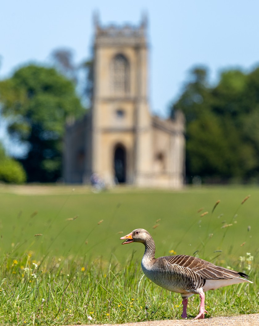 Photo: 54523754340_f5c6c6ea83_o.jpg